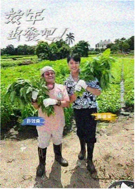 冷空气过境时广州早晚温差变化的示意图